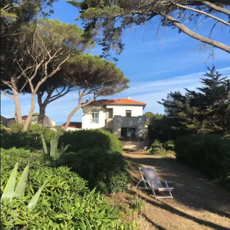 Beautiful With Garden And Sea View